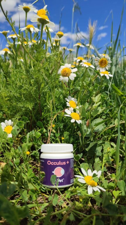 Valsam Vet Pet Supplements - Dr+Vet Occulus+