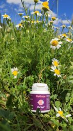 Valsam Vet Pet Supplements -