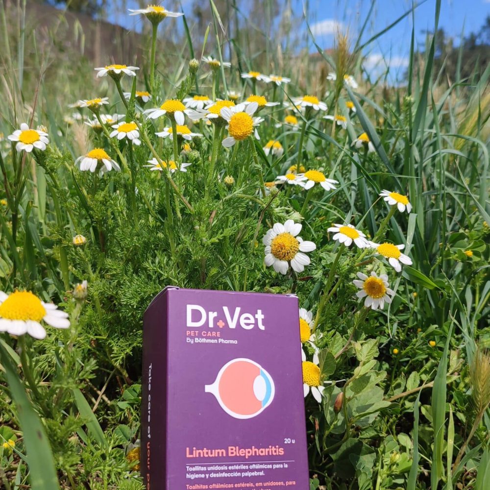 Valsam Vet Pet Supplements - Dr+Vet Lintum