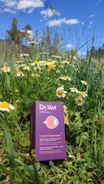 Valsam Vet Pet Supplements - Dr+Vet Occulus+