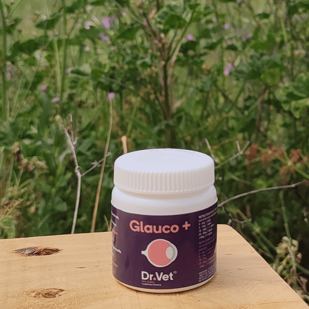 Valsam Vet Pet Supplements - Dr+Vet Glauco+