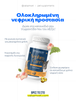 Valsam Vet NephroCare - Kidney Function Support for Dogs and Cats - Image 3