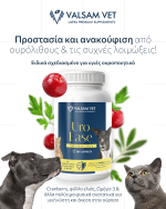 Valsam Vet UroEase - υποστήριξη ουροποιητικού συστήματος σε σκύλους και γάτες - Image 3